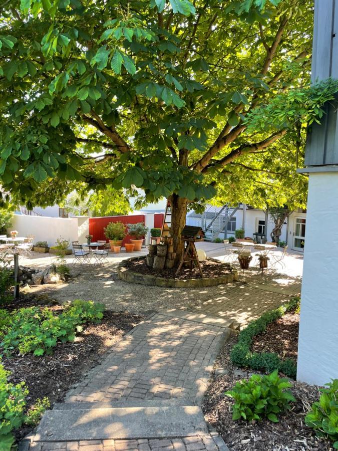 Apartment Am Rheinsteig&loreley Lykershausen